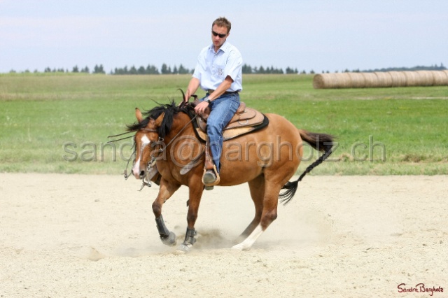 Boogie_018.jpg