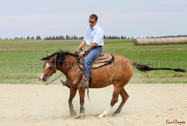 Boogie_019.jpg