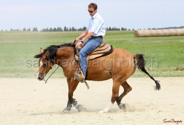 Boogie_022.jpg