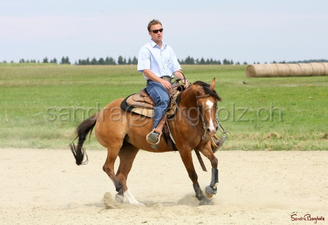 Boogie_027.jpg