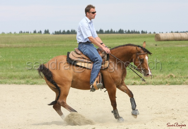 Boogie_038.jpg