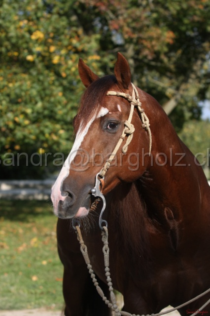 CP_007.jpg