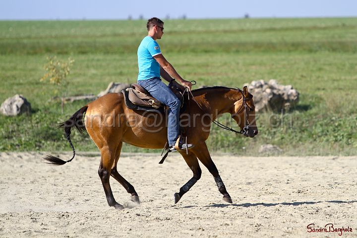 PlayinRooster-001.jpg