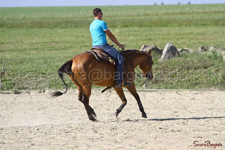 PlayinRooster-003.jpg