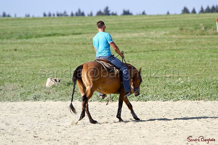 PlayinRooster-004.jpg