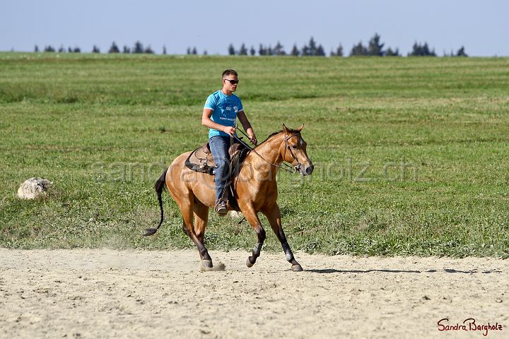 PlayinRooster-005.jpg