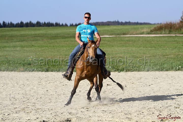 PlayinRooster-008.jpg
