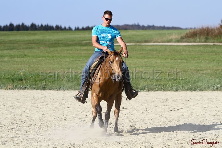 PlayinRooster-009.jpg