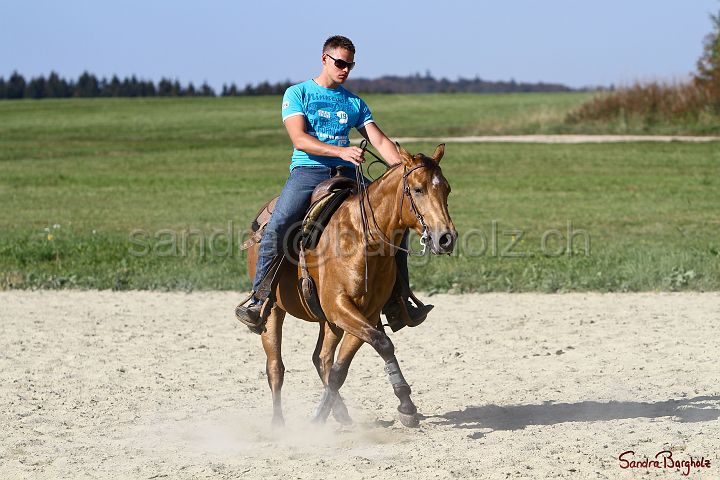 PlayinRooster-010.jpg