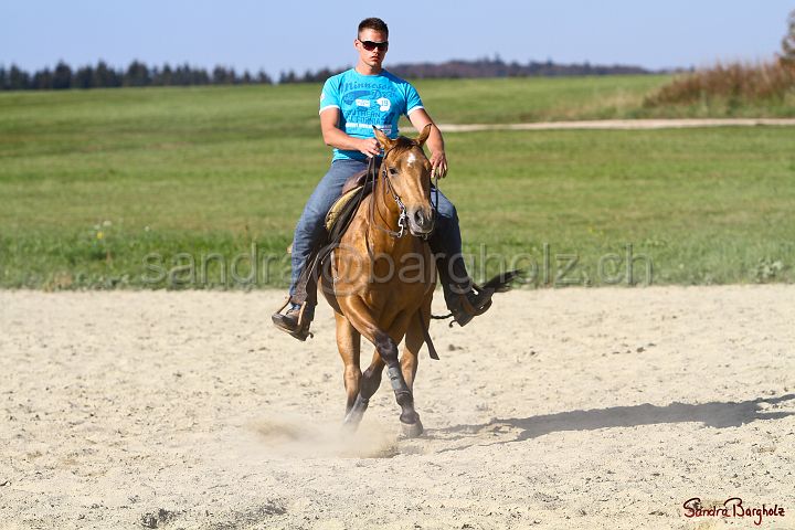 PlayinRooster-011.jpg