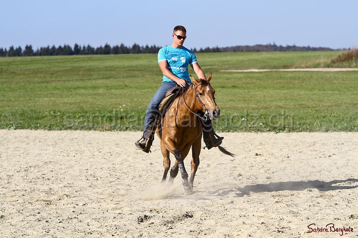 PlayinRooster-012.jpg