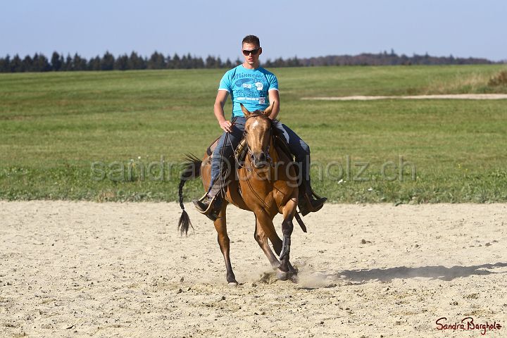 PlayinRooster-013.jpg