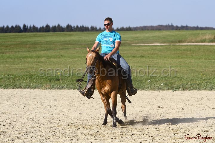 PlayinRooster-014.jpg