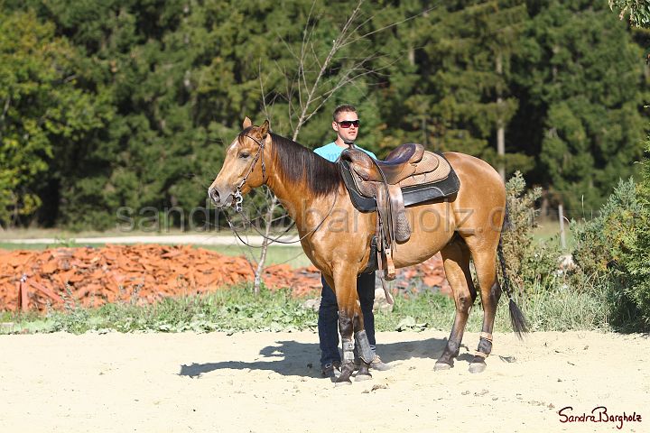 PlayinRooster-015.jpg
