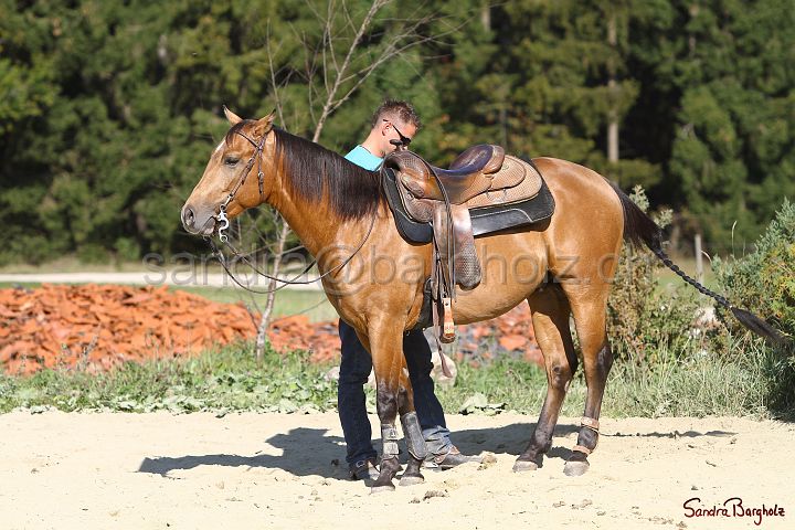 PlayinRooster-016.jpg