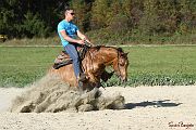 PlayinRooster-017