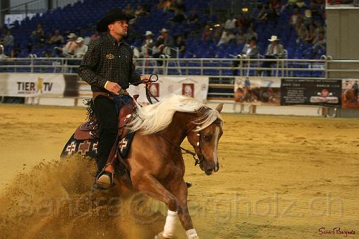 R-open_003.jpg