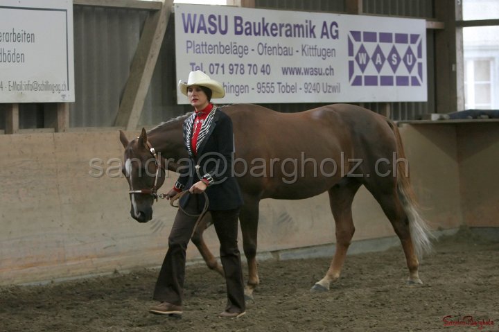HE-Halter_001.jpg