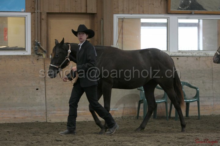 HE-Halter_002.jpg