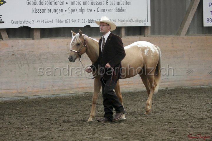 HE-Halter_003.jpg