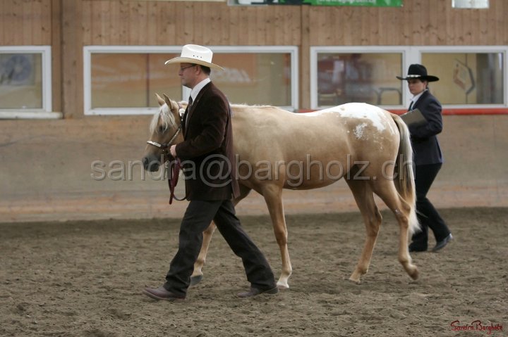 HE-Halter_004.jpg