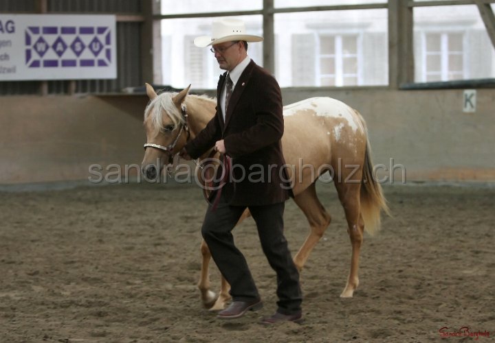 HE-Halter_005.jpg