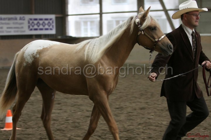 HE-Halter_006.jpg