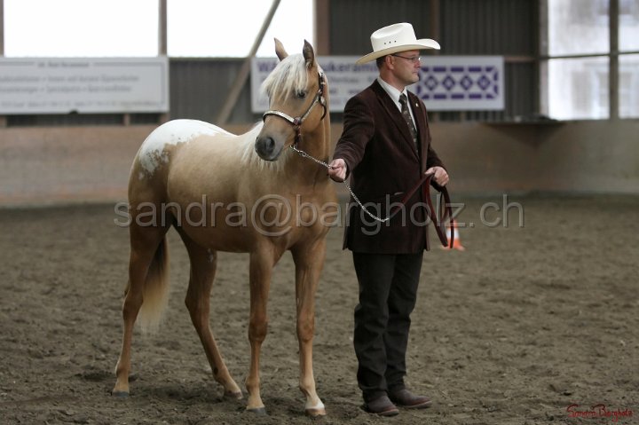 HE-Halter_007.jpg