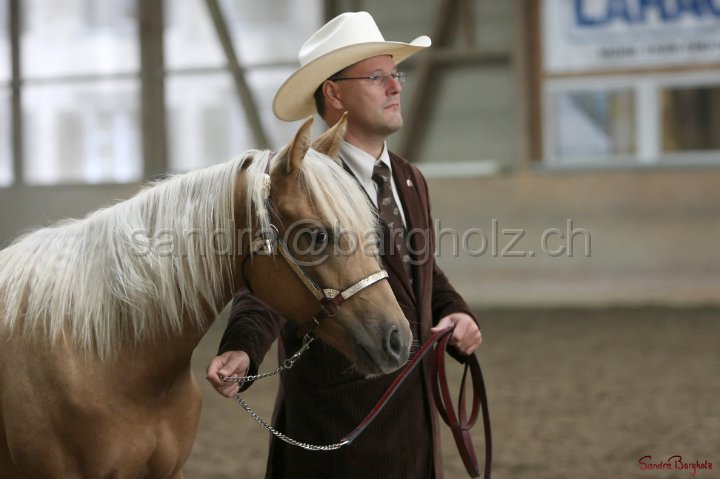 HE-Halter_008.jpg