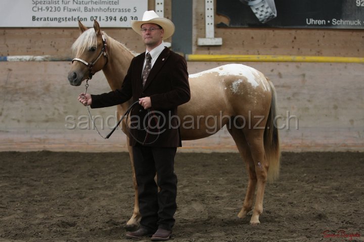 HE-Halter_010.jpg
