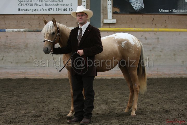 HE-Halter_011.jpg