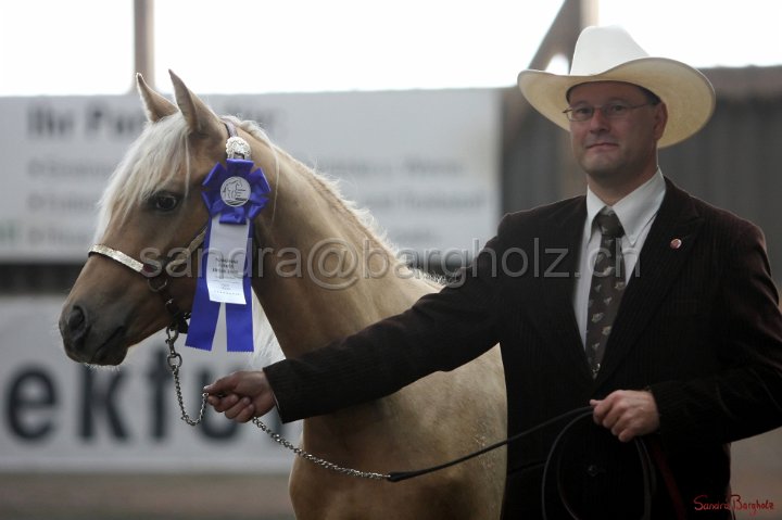 HE-Halter_013.jpg