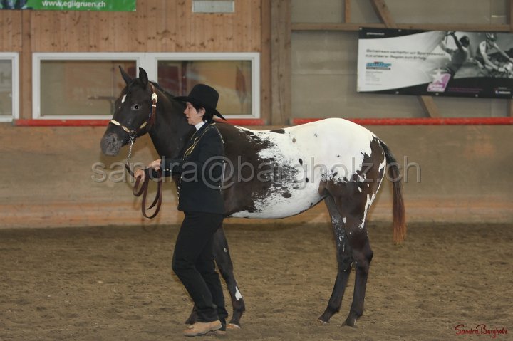 HE-Halter_014.jpg