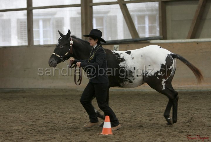 HE-Halter_015.jpg