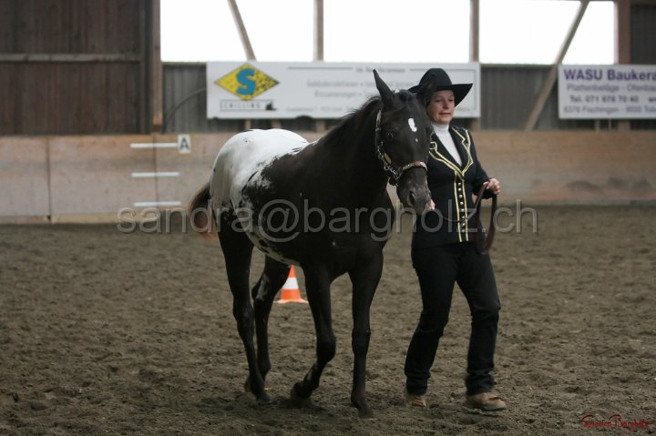 HE-Halter_016.jpg