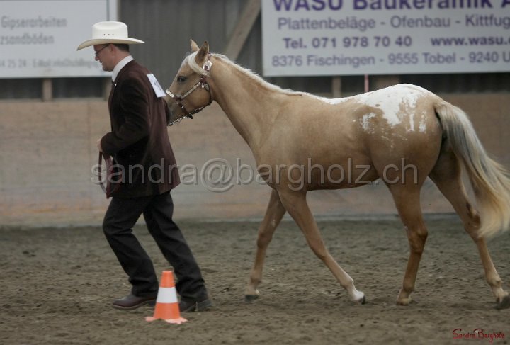HE-Halter_017.jpg