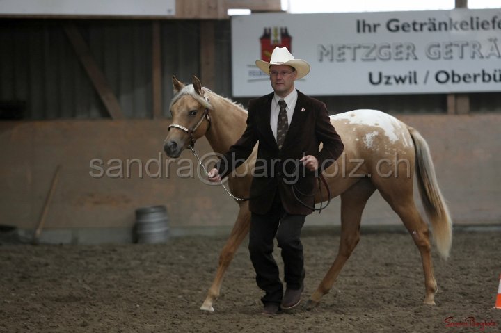 HE-Halter_018.jpg