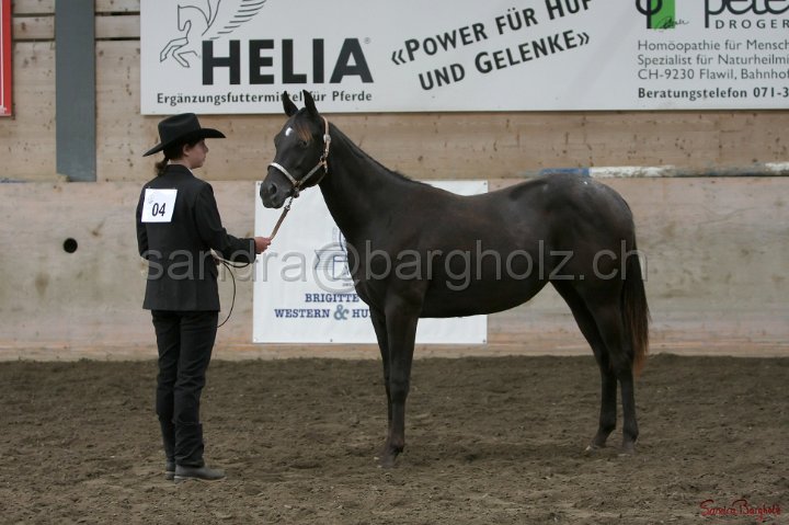 HE-Halter_019.jpg