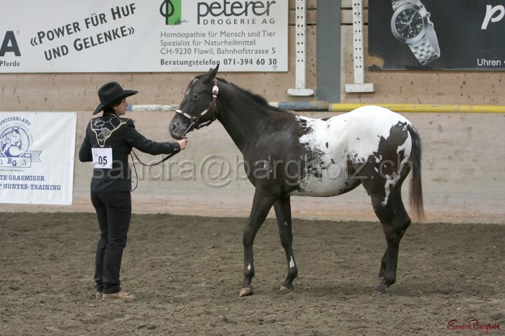 HE-Halter_020.jpg