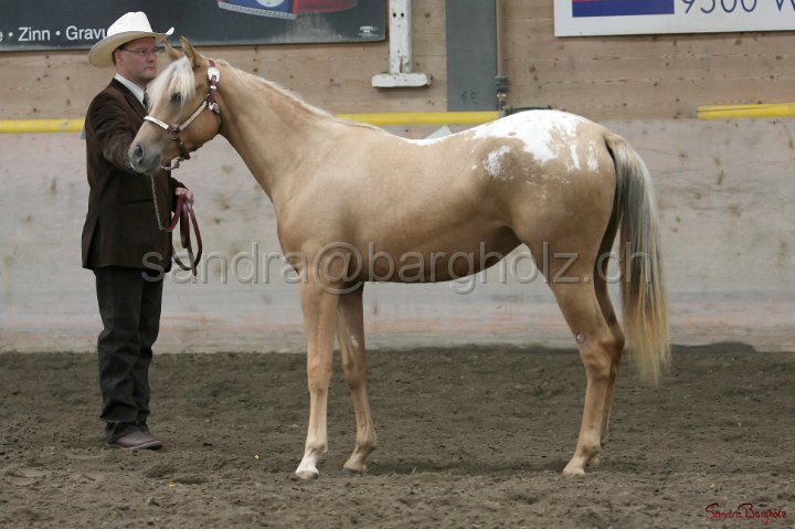 HE-Halter_022.jpg