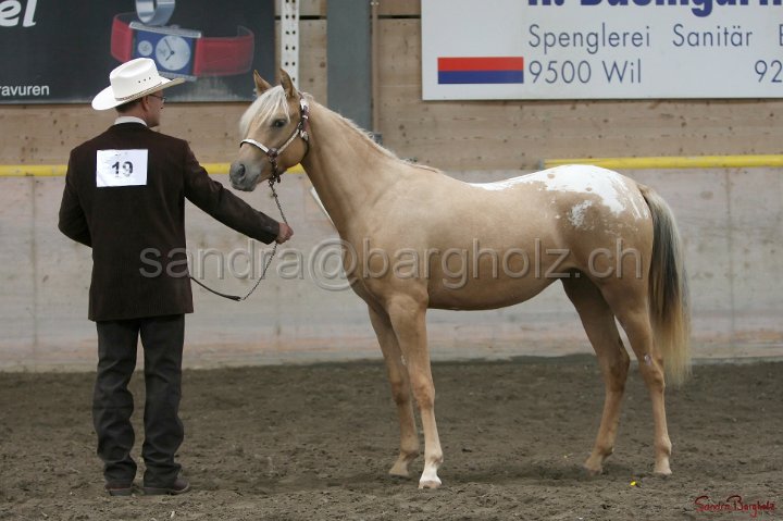 HE-Halter_023.jpg