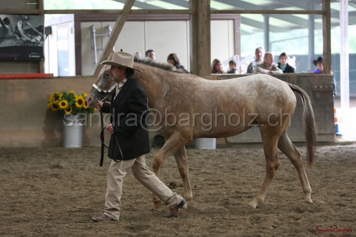 HE-Halter_028.jpg