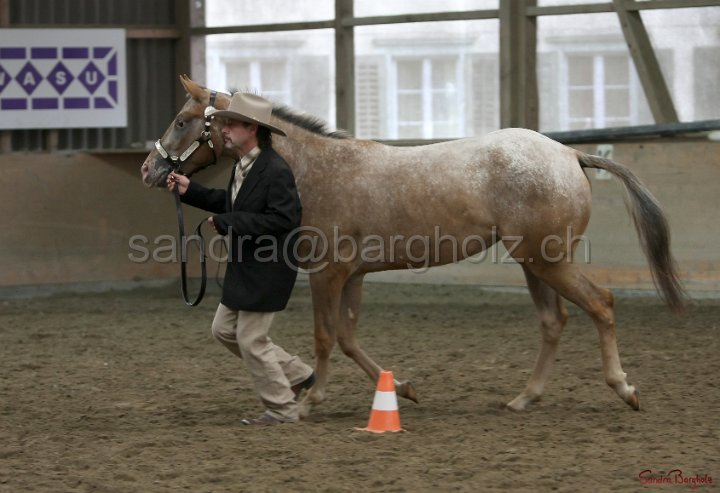 HE-Halter_029.jpg