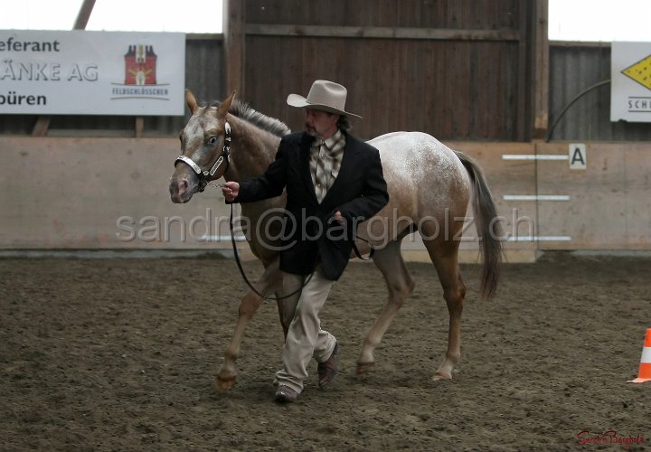 HE-Halter_030.jpg