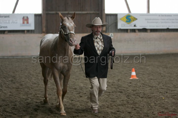 HE-Halter_031.jpg