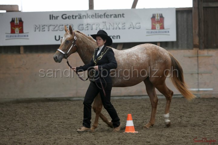 HE-Halter_032.jpg