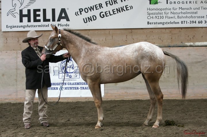 HE-Halter_034.jpg
