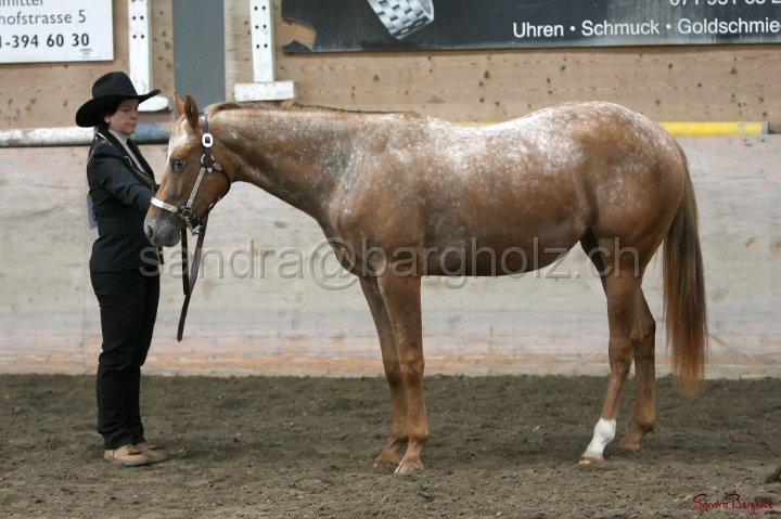 HE-Halter_035.jpg