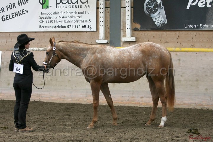 HE-Halter_036.jpg