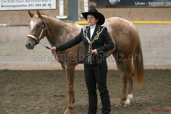HE-Halter_038.jpg